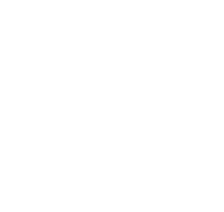 {{DealershipName}}