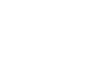{{DealershipName}}